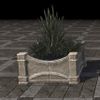 ON-furnishing-Fargrave Container Plants, Small.jpg