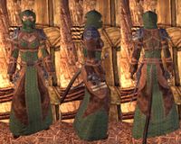 ON-item-armor-Grim Harlequin Light (Robe).jpg