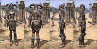 ON-item-armor-Nord Heavy 4 Female.jpg