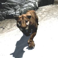 BS5C-creature-Mountain Lion.jpg
