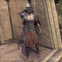 ON-item-armor-Order of the Hour Style heavy armor (female).jpg