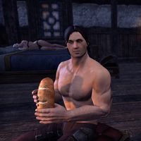 Elder Scrolls Wiki on X: Darien Gautier is a Breton captain of the Camlorn  Guard. Alinon the Alchemist describes him as a better tactician than his  father, General Gautier, even if he