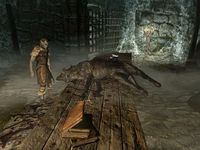 Skyrim:Faldar's Tooth - The Unofficial Scrolls Pages (UESP)