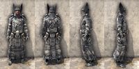 ON-item-armor-Reach Winter Light Robe Male.jpg