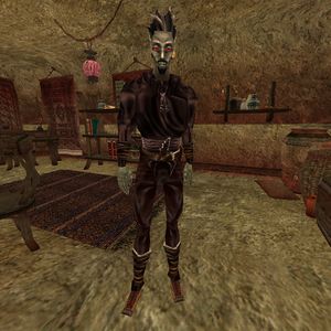 Tamriel Rebuilt:Hlenil Saravyne - The Unofficial Elder Scrolls Pages (UESP)