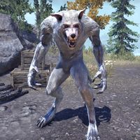 ON-creature-Gray Host Werewolf 03.jpg