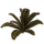 ON-icon-furnishing-Fern, Young Healthy.png