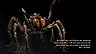 SR-load-The Frostbite Spider.jpg