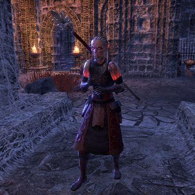 Online:Spiderkith Broodnurse - The Unofficial Elder Scrolls Pages (UESP)