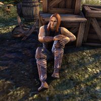 Online Trader Velyn Harbor The Unofficial Elder Scrolls Pages Uesp