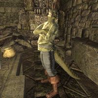 ON-npc-Wankeen.jpg