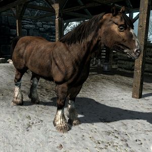 Skyrim Horses The Unofficial Elder Scrolls Pages Uesp