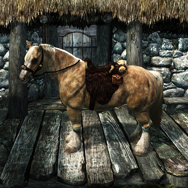 SkyrimHorses The Unofficial Elder Scrolls Pages (UESP)