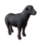 ON-icon-pet-Bleakrock Black Sheep.png