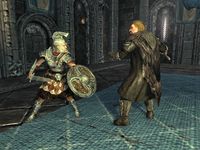 SR-quest-Battle for Windhelm 03.jpg