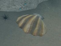 TD3-container-Clam.jpg