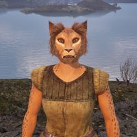OBR-npc-S'fara.jpg