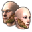 ON-icon-skin-Scales of Akatosh.png