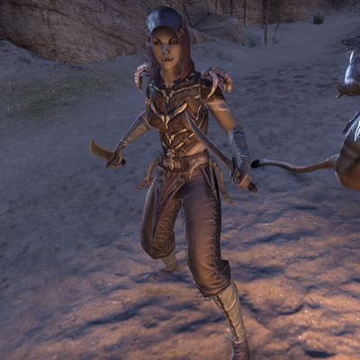 Online:Bandit Rogue - The Unofficial Elder Scrolls Pages (UESP)