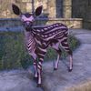ON-pet-Orchidfall Vale Fawn.jpg
