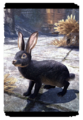 Thumbnail for version as of 19:17, 16 April 2025