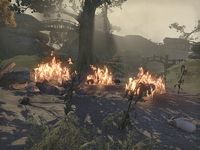 ON-quest-Fire in the Fields.jpg