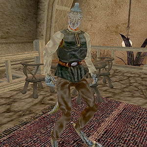 Morrowind:Skeetul - The Unofficial Elder Scrolls Pages (UESP)