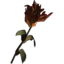 SR-icon-ingredient-Red Mountain Flower.png