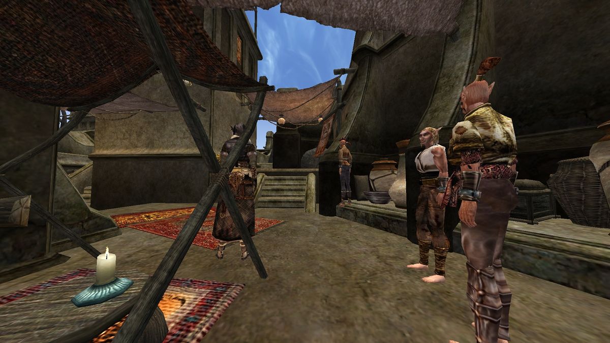 Tamriel RebuiltOf Cats and Wood Elves The Unofficial Elder Scrolls