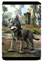 ON-card-Nenalata Ayleid Wolf Pup.png