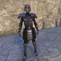 Centurion Field Armor (male)