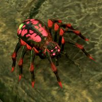ON-creature-Bookbinder Spider.jpg