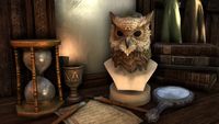 ON-crown store-Jhunal's Owl Mask.jpg