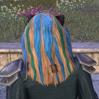 ON-hairstyle-Mane-of-Many-Rivers (back).jpg
