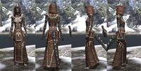 ON-item-armor-Homespun-Robe-Argonian-Female.jpg