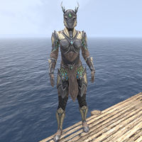 ON-item-armor-Jephrine Paladin (female).jpg