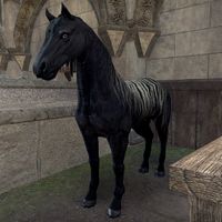 ON-creature-Black Fredas Soot Stallion.jpg