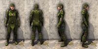 ON-item-armor-Nantharion's Royal Female.jpg