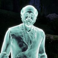 OBR-npc-The Forlorn Wachman (Ghost) 02.jpg