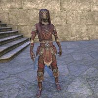 West Skyrim Scout Outfit (male)