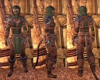 ON-item-armor-Grim Harlequin Medium.jpg