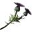SR-icon-ingredient-Thistle Branch.png