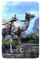 ON-card-Black Heights Camel.png