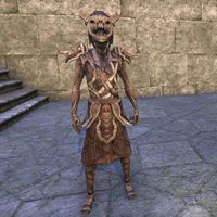 ON-costume-Valenwood Spinner (Male).jpg