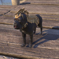 ON-pet-Dwarven War Dog.jpg