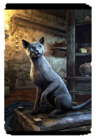 ON-card-Silver-Gray Mouser Cat.png