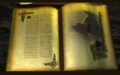 Thumbnail for version as of 02:18, 9 May 2025
