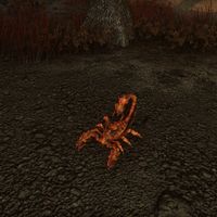 ON-creature-Deadlands Scorpion.jpg