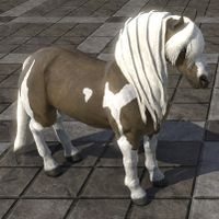 ON-furnishing-Scruffy Skyrim Paint Pony.jpg