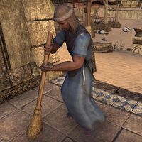 Online:Faraniel - The Unofficial Elder Scrolls Pages (UESP)